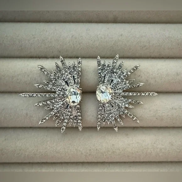 ✨ Stunning Zircon Winged Stud Earrings - Picture 6 of 10